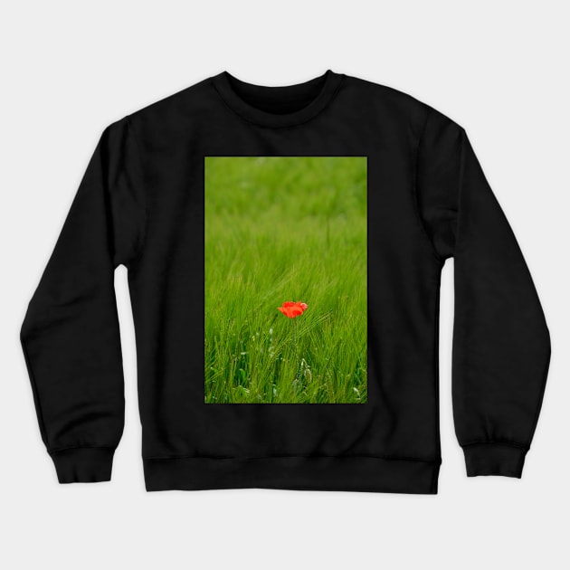 Poppy in Wheat Field Crewneck Sweatshirt by jojobob